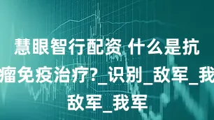 慧眼智行配资 什么是抗肿瘤免疫治疗?_识别_敌军_我军