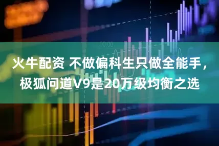 火牛配资 不做偏科生只做全能手，极狐问道V9是20万级均衡之选