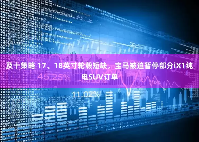及十策略 17、18英寸轮毂短缺，宝马被迫暂停部分iX1纯电SUV订单